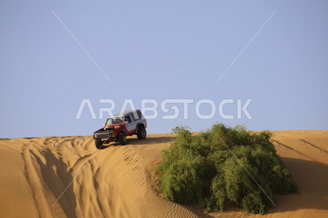 Driving vehicles in the Nawan desert in Al Baha region, enjoying practicing your favorite hobby (dune bashing), holding a car racing season in Saudi Arabia, doing recreational activities to attract tourists, riding a car on the sand dunes, going on adventures using a four-wheel drive vehicle in the deserts of the Kingdom
