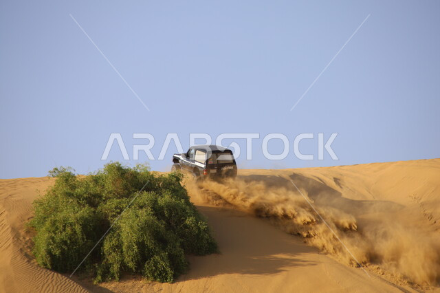 قيادة المركبات في صحراء ناوان بمنطقة الباحة، الاستمتاع بممارسة الهواية المفضلة(تطعيس)، إقامة موسم سباق السيارات في السعوديه، القيام بأنشطة ترفيهية لجذب السياح، ركوب السيارة على الكثبان الرملية, القيام بمغامرات بواسطة مركبة الدفع الرباعي في صحاري المملكة