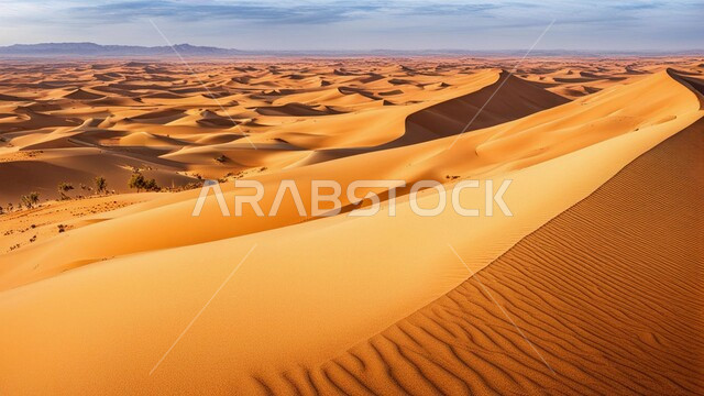 مناطق البادية والبيئة الطبيعية الصحراوية وقت النهار، التضاريس و التلال والهضاب في البراري، التكوينات والتشكلات الرملية في صحراء المملكة العربية السعودية، الرمال الناعمة الذهبية، خلفية الطبيعة