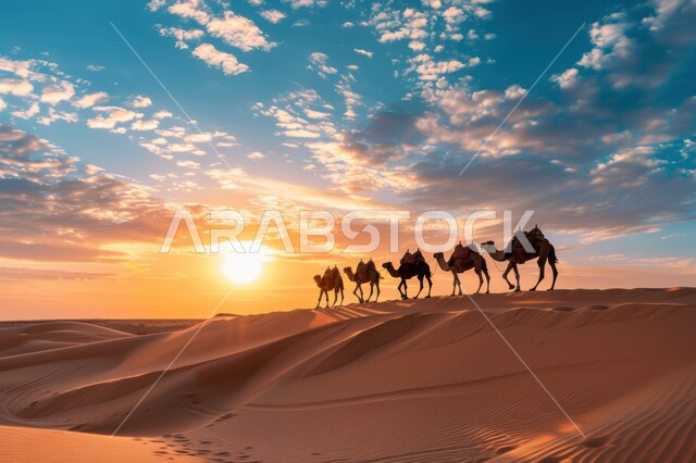 A group of camels walking over sand dunes in the desert, using camels to move around in the deserts of Saudi Arabia, natural scenery and soft golden sand, desert tourist places, sunset view over grains of sand