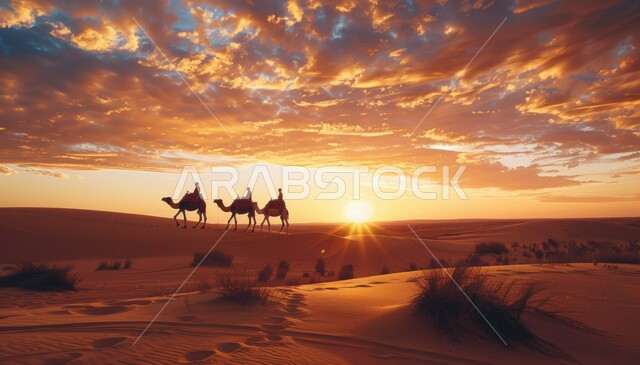 مجموعة من الجمال تسير فوق الكثبان الرملية في الصحراء، استخدام الإبل في التنقل في صحارى المملكة العربية السعودية، المناظر الطبيعية والرمال الذهبية الناعمة، أماكن سياحية صحراوية، منظر غروب الشمس فوق حبات الرمل