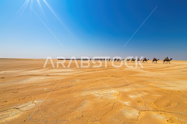  استخدام الإبل في التنقل في صحارى المملكة العربية السعودية، مجموعة من الجمال تسير فوق الكثبان الرملية في الصحراء، المناظر الطبيعية والرمال الذهبية الناعمة، أماكن سياحية صحراوية