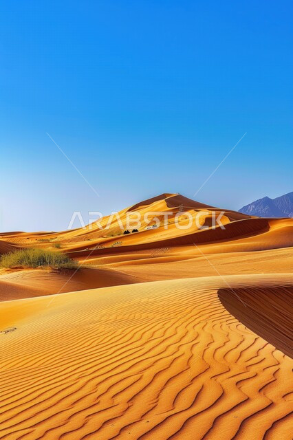  استخدام الإبل في التنقل في صحارى المملكة العربية السعودية، مجموعة من الجمال تسير فوق الكثبان الرملية في الصحراء، المناظر الطبيعية والرمال الذهبية الناعمة، أماكن سياحية صحراوية