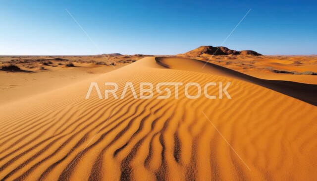 البيئة الرملية في صحراء المملكة العربية السعودية، الرمال الذهبية الناعمة المتموجة والتضاريس الصحراوية، منظر السماء الصافية وسط الصحاري في النهار، خلفية الطبيعة
