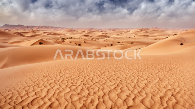 التكوينات والتشكيلات من الرمال الذهبية في صحراء شبه الجزيرة العربية، التضاريس والبيئة الجافة في الطبيعة الصحراوية، الكثبان والتلال الرملية الناعمة المتشكلة في الصحاري الخليجية