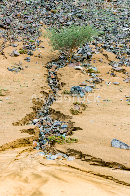 الطبيعة في السعودية ، الكثبان الرملية ، صورة لصخور صغيرة على رمال شاطئ البحر