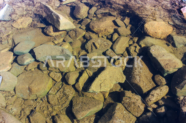 الطبيعة في السعودية ، الكثبان الرملية ، صورة لصخور صغيرة على رمال شاطئ البحر