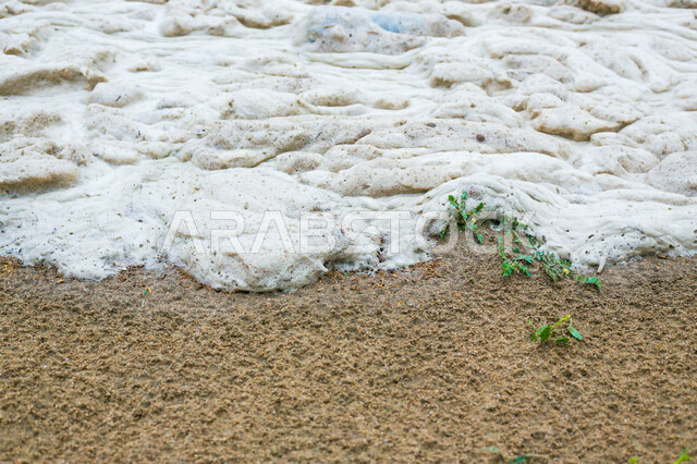 صورة لموجه المحيط على شاطئ رملي نظيف بالمملكة العربية السعودية