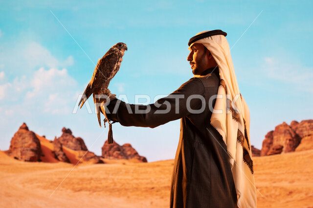 رمز القوة والتحدي وحدة البصر، فعاليات نادي الصقور في موسم الصيد السنوي في المملكة العربية السعودية، الفخر بالتراث السعودي العريق في تربية الطيور الجارحة الحرة، صورة من الجانب لشاب عربي خليجي سعودي يقوم بترويض طائر الصقر في المحميات الطبيعة