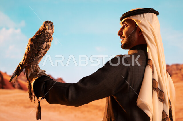 رمز القوة والتحدي وحدة البصر، فعاليات نادي الصقور في موسم الصيد السنوي في المملكة العربية السعودية، الفخر بالتراث السعودي العريق في تربية الطيور الجارحة الحرة، صورة من الجانب لشاب عربي خليجي سعودي يقوم بترويض طائر الصقر في المحميات الطبيعة