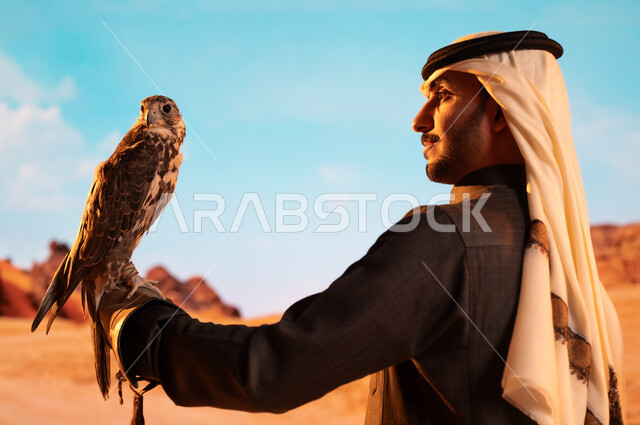 رمز القوة والتحدي وحدة البصر، فعاليات نادي الصقور في موسم الصيد السنوي في المملكة العربية السعودية، الفخر بالتراث السعودي العريق في تربية الطيور الجارحة الحرة، صورة من الجانب لشاب عربي خليجي سعودي يقوم بترويض طائر الصقر في المحميات الطبيعة