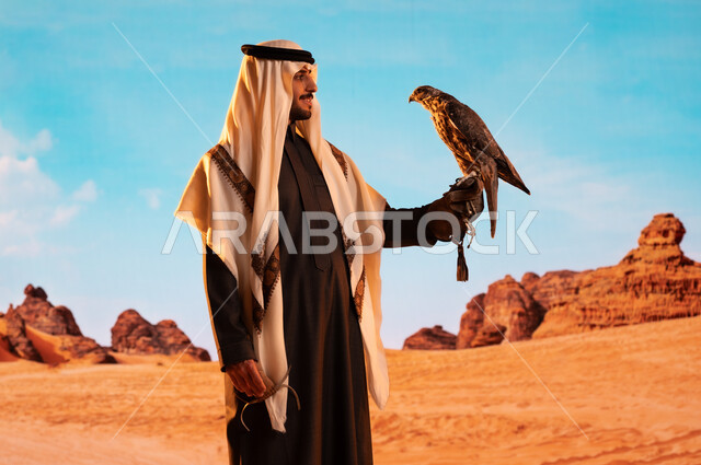 الفخر بالتراث السعودي العريق في تربية الطيور الجارحة الحرة، رمز القوة والتحدي وحدة البصر، فعاليات نادي الصقور في موسم الصيد السنوي في المملكة العربية السعودية، صورة لشاب عربي خليجي سعودي يقوم بترويض طائر الصقر في المحميات الطبيعة