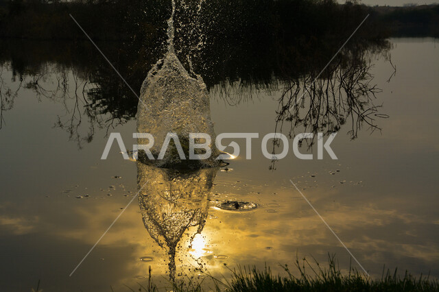 إنعكاس شروق وغروب الشمس الذهبي على سطح مياه البحر بالمملكة العربية السعودية ، دفقة ماء مع خلفية غروب وشروق الشمس ، الطبيعة الخلابة بالسعودية 