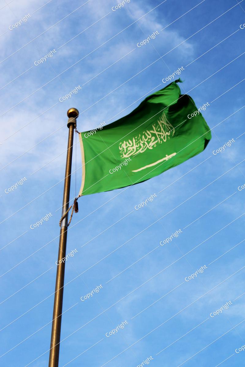Vector Design Of The Castles Of The Kingdom Of Saudi Arabia The Saudi 