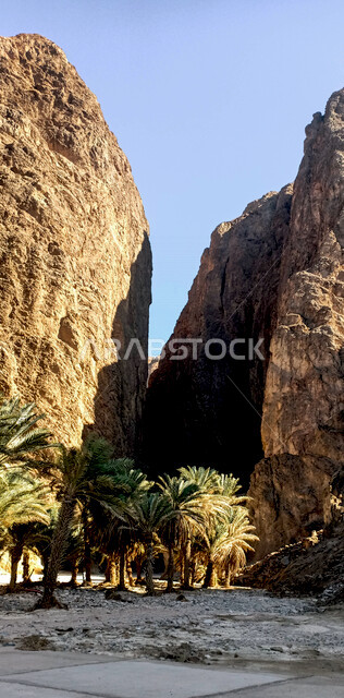 منطقة (طيب اسم )في تبوك شمال المملكة العربية السعودية ،  شق وسط جبال شاهقة تتوسطها مياه جارية، جمال المناطق السياحية الطبيعة الخلابة في السعودية