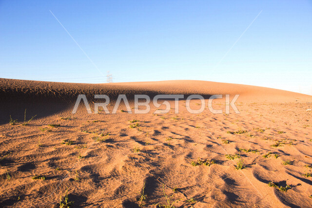 صورة للكثبان الرملية في الصحراء ، الرمال الذهبية الناعمة في الصحراء ، صورة جمالية خلابة في صحراء السعودية