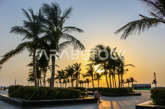 صورة ظلية لمنتزه اثناء غروب الشمس، منظر طبيعي خلاب اثناء غروب الشمس، جمال الحدائق الملئية بالاشجار والنخيل، الشمس اثناء الغروب