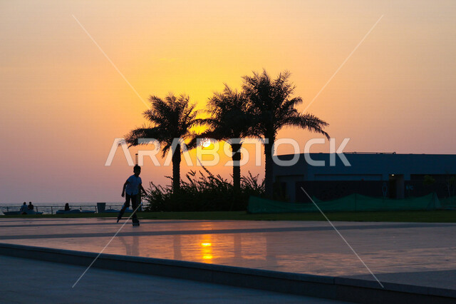 صورة ظلية لمنتزه اثناء غروب الشمس، منظر طبيعي خلاب اثناء غروب الشمس، جمال الحدائق الملئية بالاشجار والنخيل، الشمس اثناء الغروب