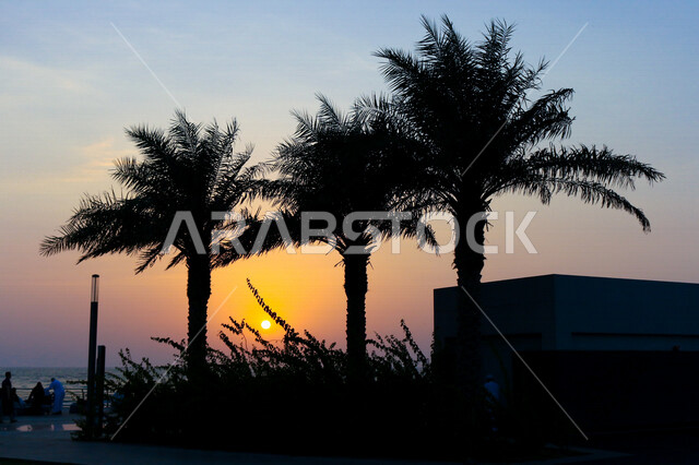 صورة ظلية لمنتزه اثناء غروب الشمس، منظر طبيعي خلاب اثناء غروب الشمس، جمال الحدائق الملئية بالاشجار والنخيل، الشمس اثناء الغروب