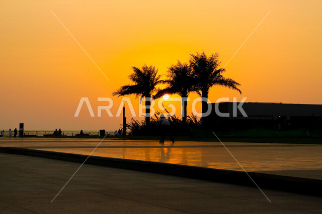 صورة ظلية لمنتزه اثناء غروب الشمس، منظر طبيعي خلاب اثناء غروب الشمس، جمال الحدائق الملئية بالاشجار والنخيل، الشمس اثناء الغروب