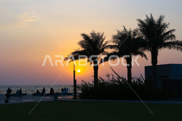 صورة ظلية لمنتزه اثناء غروب الشمس، منظر طبيعي خلاب اثناء غروب الشمس، جمال الحدائق الملئية بالاشجار والنخيل، الشمس اثناء الغروب