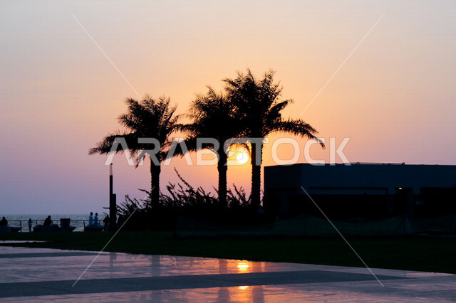 صورة ظلية لمنتزه اثناء غروب الشمس، منظر طبيعي خلاب اثناء غروب الشمس، جمال الحدائق الملئية بالاشجار والنخيل، الشمس اثناء الغروب