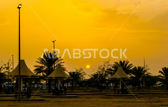 Silhouette of a park during sunset, beautiful landscape during sunset, beauty of gardens filled with trees and palms, sun during sunset