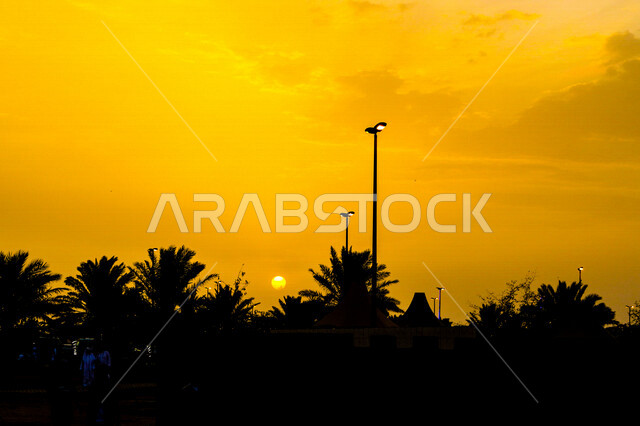 صورة ظلية لمنتزه اثناء غروب الشمس، منظر طبيعي خلاب اثناء غروب الشمس، جمال الحدائق الملئية بالاشجار والنخيل، الشمس اثناء الغروب