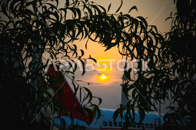 صورة ظلية للاشجار اثناء غروب الشمس، منظر طبيعي خلاب اثناء الغروب، جمال الحدائق الملئية بالاشجار، الشمس اثناء الغروب