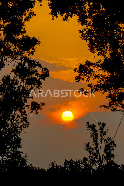 صورة ظلية للاشجار اثناء غروب الشمس، منظر طبيعي خلاب اثناء الغروب، جمال الحدائق الملئية بالاشجار، جمال الشمس اثناء الغروب