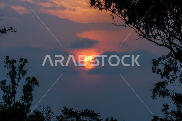 صورة ظلية للاشجار اثناء غروب الشمس، منظر طبيعي خلاب اثناء الغروب، جمال الحدائق الملئية بالاشجار، جمال الشمس اثناء الغروب