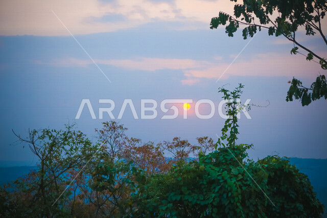 صورة للاشجار اثناء شروق الشمس، منظر طبيعي خلاب اثناء الشروق، جمال الحدائق الملئية بالاشجار، جمال الشمس اثناء الشروق