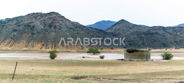 يوم ممطر في الصحراء بالمملكة العربية السعودية، الجبال والرمال والاشجار، الصحراء السعودية بعد هطول المطر