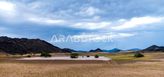 يوم ممطر في الصحراء بالمملكة العربية السعودية، الجبال والرمال والاشجار، الصحراء السعودية بعد هطول المطر