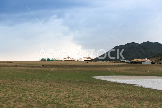 يوم ممطر في الصحراء بالمملكة العربية السعودية، الجبال والرمال والاشجار، جمال الطبيعة الصحراوية في الشتاء، الصحراء السعودية بعد هطول المطر