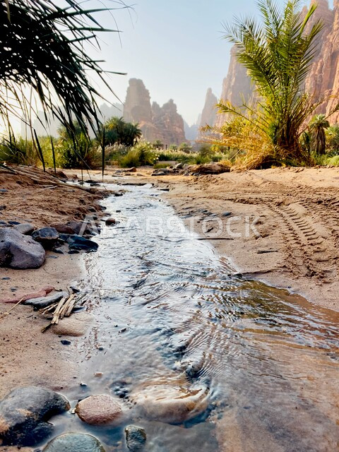 A picture of the charming valley and mountains of Al-Deesah in the Tabuk region, the flow of water in the valley, the beauty of the scenic nature in Saudi Arabia