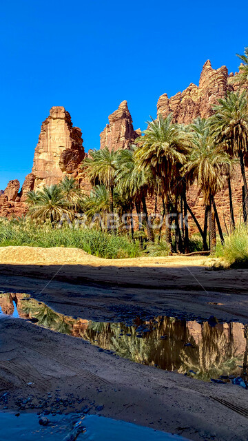 صورة لوادي و جبال الديسة الساحرة في منطقة تبوك ، جريان الماء في الوادي ، روعة و جمال الطبيعة الخلابة في السعودية