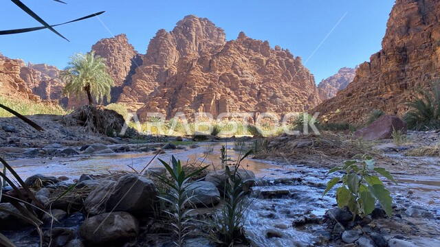 صورة لوادي و جبال الديسة الساحرة في منطقة تبوك ، جريان الماء في الوادي ، روعة و جمال الطبيعة الخلابة في السعودية