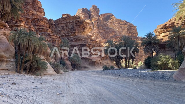 صورة لوادي و جبال الديسة الساحرة في منطقة تبوك ، جريان الماء في الوادي ، روعة و جمال الطبيعة الخلابة في السعودية