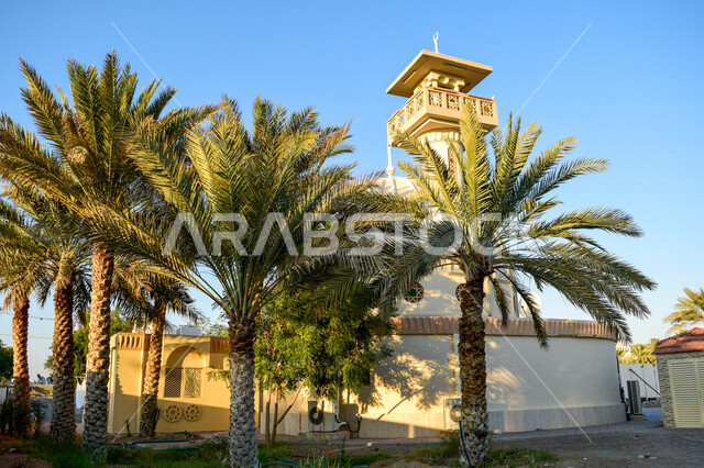 A picture of Thabit Bin Zaid Mosque surrounded by palm trees in Al Ain city in Abu Dhabi, United Arab Emirates, a small mosque with a distinctive minaret, landmarks in the United Arab Emirates