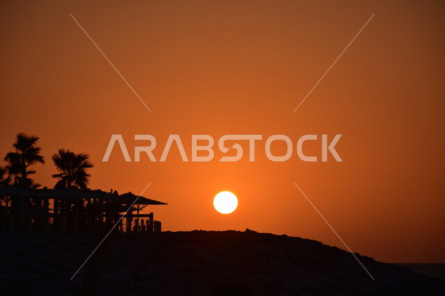 Silhouette of La Mer Beach in Dubai during sunset, enchanting landscape of sunset, beauty of the park filled with trees and palms, sun during sunset, tourism in the Emirates.