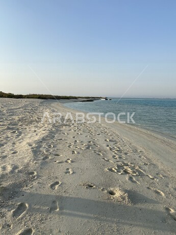 جزيرة الظهرة في تبوك بالمملكة العربية السعودية، مشروع البحر الاحمر، شاطئ البحر الأحمر في تبوك، أماكن سياحية 