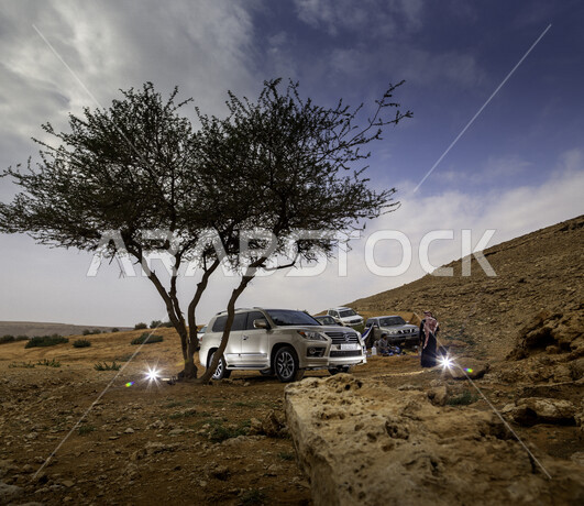 An image of a group of luxury Lexus sports vehicles with a modern and attractive design, capable of overcoming off-road and desert roads, a tourist trip in the desert of the Kingdom of Saudi Arabia