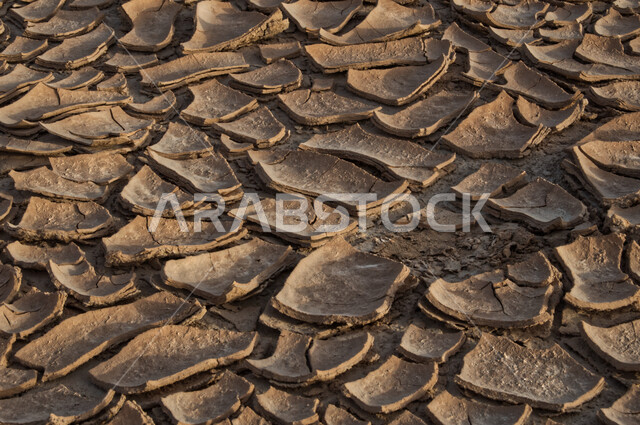 مفهوم الإحتباس الحراري، البيئة الصحراوية القاحلة، صورة مقربة لأرض طينية متشققة في موسم الجفاف، نتائج الكوارث الطبيعية والهزات الأرضية، المناطق الصحراوية الجافة, تغير المناخ والعوامل الطبيعية