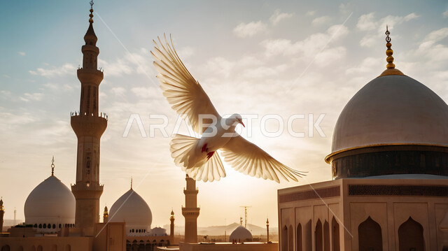 مفهوم التسامح والسلام في الإسلام، الفن الهندسي المعماري للمآذن والقبب، المعالم الدينية في المملكة العربية السعودية، دعوة المسلمين إلى الصلاة، العبادة والتقرب إلى الله، صورة مقربة لحمامة تطير فوق مسجد في وضح النهار