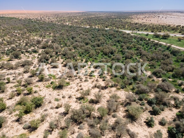 نمو الأعشاب والنباتات البرية الخضراء ، الهضاب والجبال والمرتفعات في المملكة العربية السعودية، البيئة الطبيعية في منتزه الخريم شرق مدينة الرياض، أماكن سياحية مشهورة، مناطق ترفيهية لجذب السياح من شتى أنحاء العالم