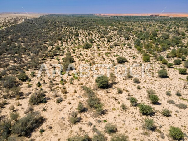 نمو الأعشاب والنباتات البرية الخضراء ، الهضاب والجبال والمرتفعات في المملكة العربية السعودية، البيئة الطبيعية في منتزه الخريم شرق مدينة الرياض، أماكن سياحية مشهورة، مناطق ترفيهية لجذب السياح من شتى أنحاء العالم