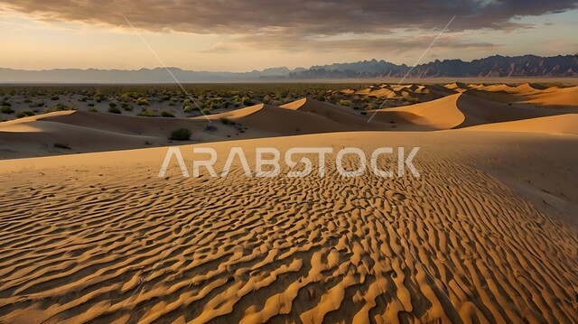 الكثبان والتلال الرملية الناعمة المتشكلة في الصحاري الخليجية, التضاريس والبيئة الجافة في مناطق الطبيعة الصحراوية، التكوينات والتشكيلات من الرمال الذهبية الناعمة في الصحراء العربية الواسعة في وقت النهار