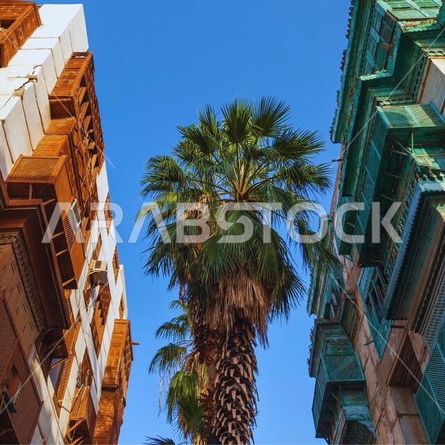 النوافذ والأبواب المصنوعة من الخشب، صورة من الاسفل لأشجار النخيل الخضراء، معالم تاريخية مشهورة في المملكة العربية السعودية, المباني التراثية في مدينة جدة في النهار، الفن الهنسي المعماري على الطراز القديم, أماكن جذب واستقطاب السياح من شتى أنحاء العالم
