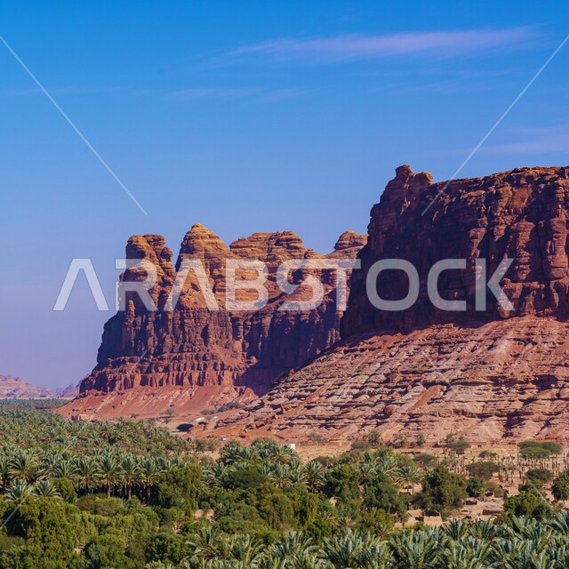 التكوينات والتشكيلات الصخرية الطبيعية في محافظة العلا في المملكة العربية السعودية، معالم أثرية تاريخية سياحية، أماكن جذب واستقطاب السياح من انحاء العالم، منظر الاشجار والنباتات الخضراء